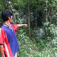 Tin tức trong ngày - Phát hiện xác người đàn ông phân hủy trong vườn tràm