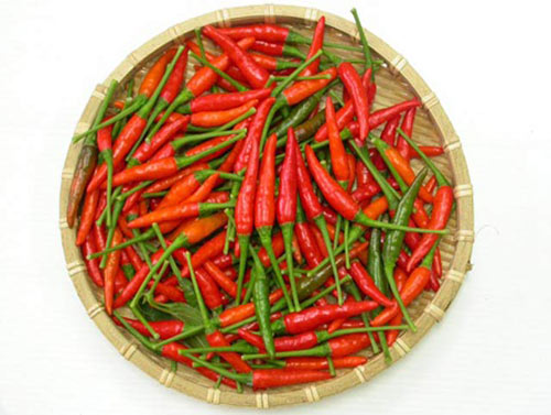 Ớt nào mà ớt chẳng cay... - 1