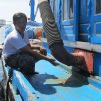 Tin tức trong ngày - Ngư dân tính chuyện đồng loạt khởi kiện Trung Quốc