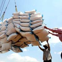 Thị trường - Tiêu dùng - Đề nghị xử lý người đàm phán bán gạo giá "bèo"