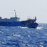 Tin tức trong ngày - Phải vạch trần sự giả trá của Trung Quốc