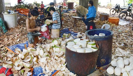 Những xóm nghề đồng hương giữa Sài thành - 3