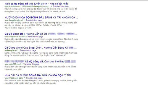 Cá độ World Cup: Nhà cái sẵn sàng phục vụ con bạc Việt - 2