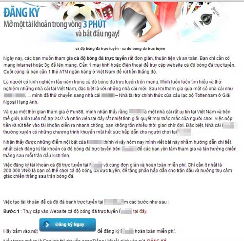 Cá độ World Cup: Nhà cái sẵn sàng phục vụ con bạc Việt - 3