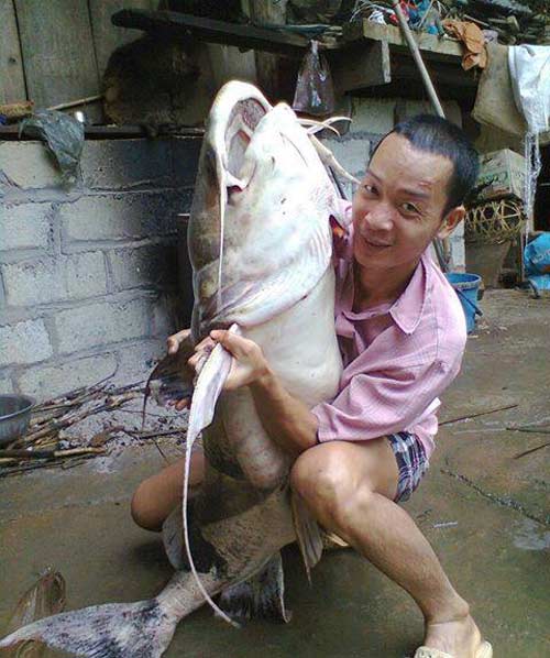 Săn “thủy quái” khổng lồ trên sông Gâm - 1