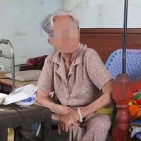 Pháp luật - Đắng lòng vụ án con kiện mẹ