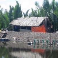 Pháp luật - Cuộc đời người đàn ông khuyết tật bị giết, cắt "của quý"