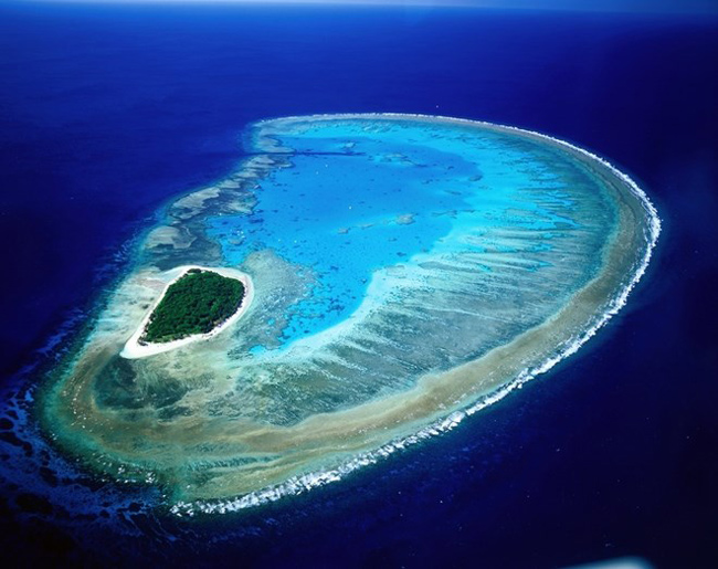 Hòn đảo Lady Musgrave, rạn đá ngầm Great Barrier, Australia lung linh giữa biển khơi.&nbsp;
