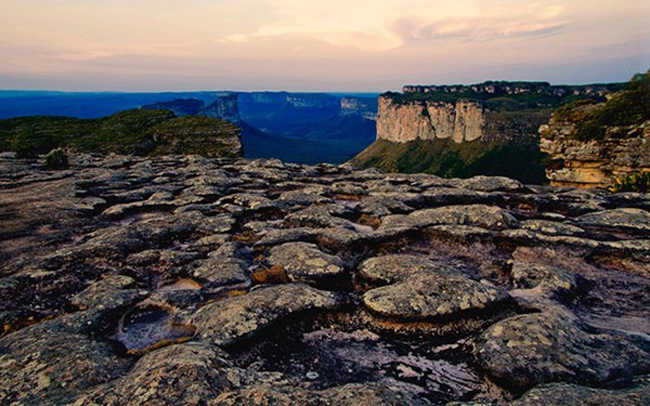 13.&nbsp;Vườn quốc gia Chapada Diamantina&nbsp;là một trong những khu bảo tồn sinh học đặc sắc nhất của&nbsp; Brazil. Khu vực này được phát hiện vào thế kỳ 18 bởi dân đào vàng và kim cương.&nbsp; Hiện nay, khu vực này có khoảng 50 loài lan quý hiếm, thú ăn kiến ​​khổng lồ, mèo rừng và tatu, cũng như hệ thực vật đa dạng và phong phú.
