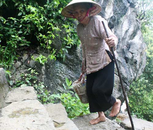 Cụ bà hơn 30 năm trông mộ Vua trên đỉnh Mã Yên Sơn - 1