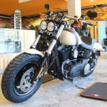 Ô tô - Xe máy - Harley-Davidson Fat Bob giá 700 triệu đồng tại VN