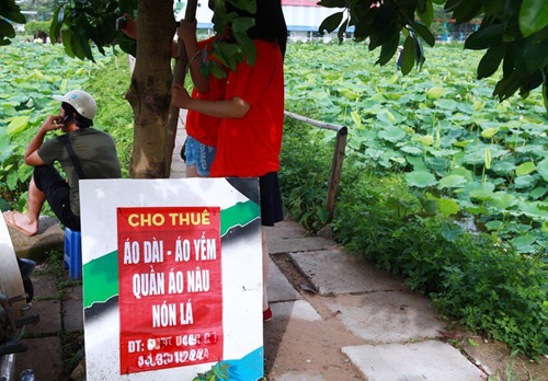 Hái ra tiền nhờ cho thuê áo yếm mùa sen - 3