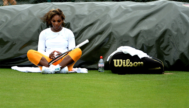 Serena Williams, hạt giống số 1 ở nội dung đơn nữ, từng 5 lần vô địch Wimbledon.
