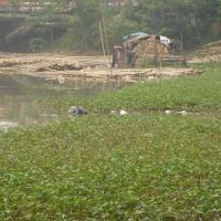 Pháp luật - Trốn khỏi nhà tạm giữ, chết dưới ao rau muống