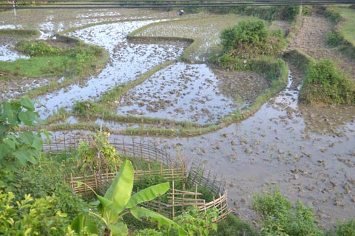 Bí mật vùng tam giác “vàng”: Đất vàng và cơn sóng ngầm - 2