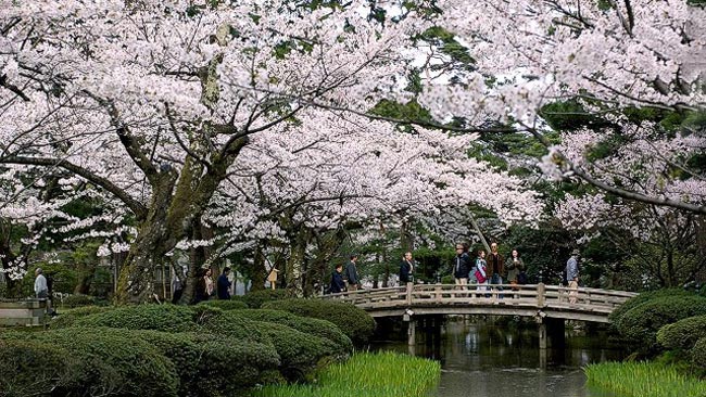 3. Kenrokuen (Kanazawa, Nhật Bản)

Kenrokuen được xem là một trong ba khu vườn có cảnh quan đẹp nhất ở Nhật Bản. Trước đây, nó từng là khuôn viên của lâu đài Kanazawa.


