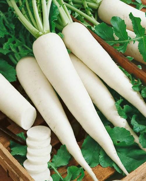 Bí quyết giản đơn để mái tóc óng khỏe - 4