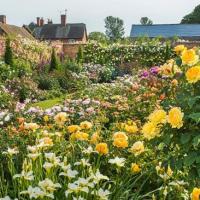 Du lịch - Lạc vào những khu vườn đẹp nhất thế giới