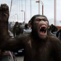 Phim - Fan Việt tò mò với "Loài khỉ trỗi dậy" 2014