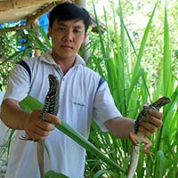 Bạn trẻ - Kỹ sư công nghệ kiếm bạc tỷ từ kỳ nhông, kỳ đà