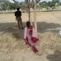 Tin tức trong ngày - Pakistan: Một phụ nữ bị cưỡng hiếp, treo trên cây