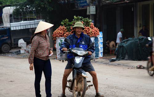 Vải thiều đỏ đường, nông dân đỏ mắt - 3