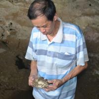 Tin tức trong ngày - Bí ẩn "vùng tam giác vàng”: Ly kỳ chuyện hang đồ cổ