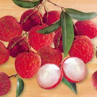 Sức khỏe đời sống - Suýt chết khi vừa đi xe máy vừa ăn vải