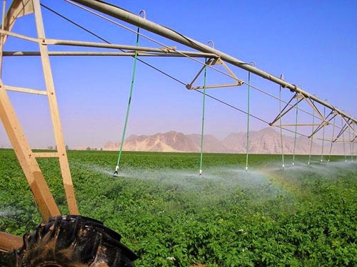 Thăm trang trại lạ lùng như của người ngoài hành tinh - 6