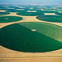 Du lịch - Thăm trang trại lạ lùng như của người ngoài hành tinh