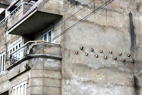 Biệt thự tiền tỷ thành chuồng gà giữa Sài Gòn - 9