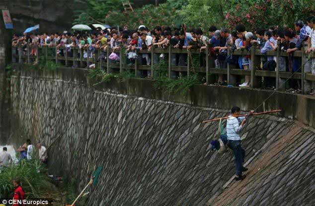 TQ: Dân mạo hiểm mạng sống bắt cá trong nước lũ - 12