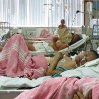 Tin tức trong ngày - Ăn cá nóc, 1 người chết, 6 người nhập viện