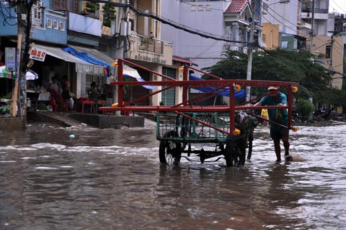 TPHCM: Mưa 1 giờ, có nơi ngập... 1m - 3