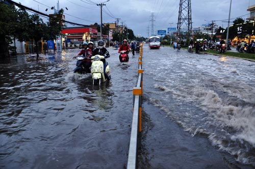 TPHCM: Mưa 1 giờ, có nơi ngập... 1m - 11