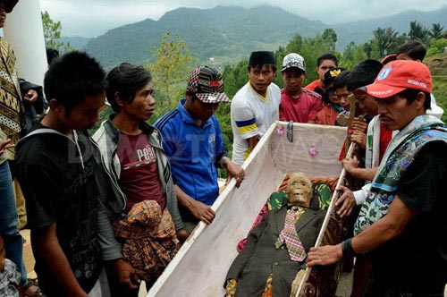 Sự thật xác chết đi lại, tìm đường về nhà ở Indonesia - 4