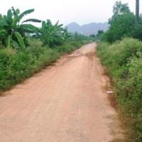 Pháp luật - Trộm chó đánh trọng thương Trưởng công an