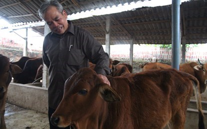 Những cụ ông làm nghề nông, thành triệu phú - 2