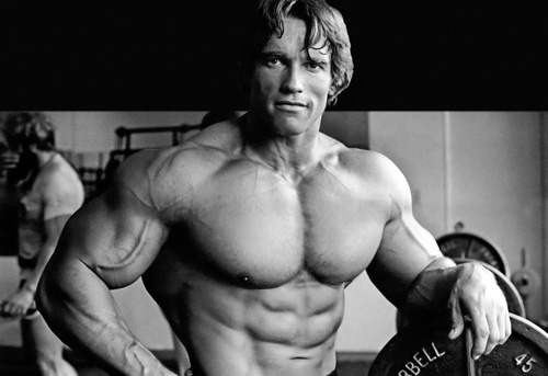 Arnold Schwarzenegger: Chính trị gia quay về làm "Kẻ hủy diệt" - 1