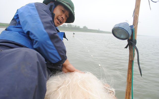 Bắt cá mòi thu tiền triệu mỗi ngày: “Lộc trời” trên sông - 1