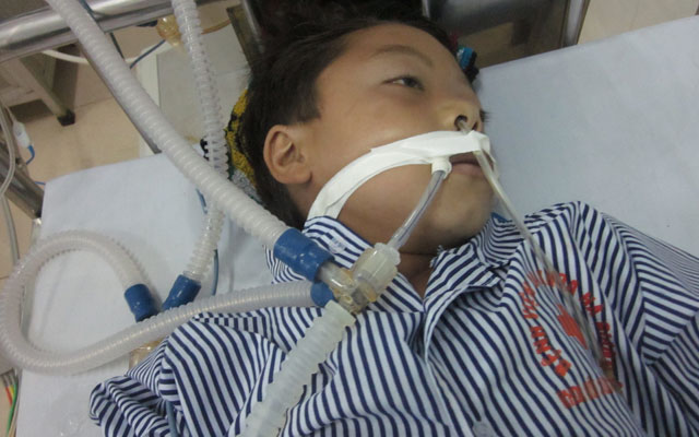 Chết oan từ bột ngô mốc - 1