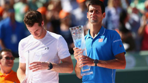 Murray: Cáo già thành thỏ non trước Djokovic - 1