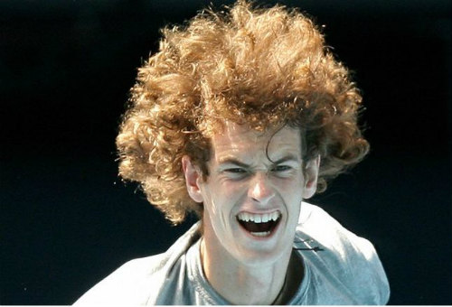 Thảm họa tóc: Đuôi ngựa Federer, sư tử Murray - 1