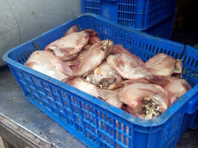 Hàng loạt HS nhập viện vì suất ăn của công ty "cá thối" - 2