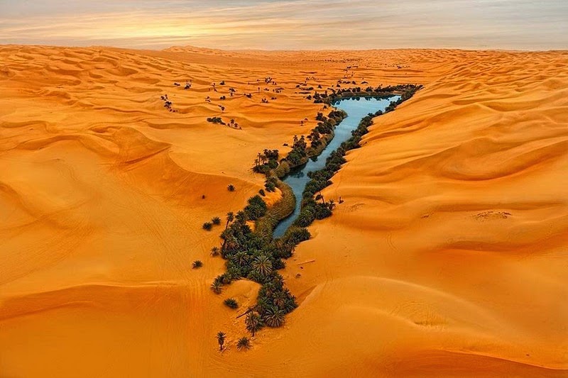 Choáng ngợp vẻ đẹp của ốc đảo giữa lòng sa mạc Sahara - 1