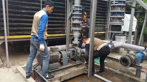 HTH Services - Dịch vụ sửa chữa máy bơm chuyên nghiệp - 3