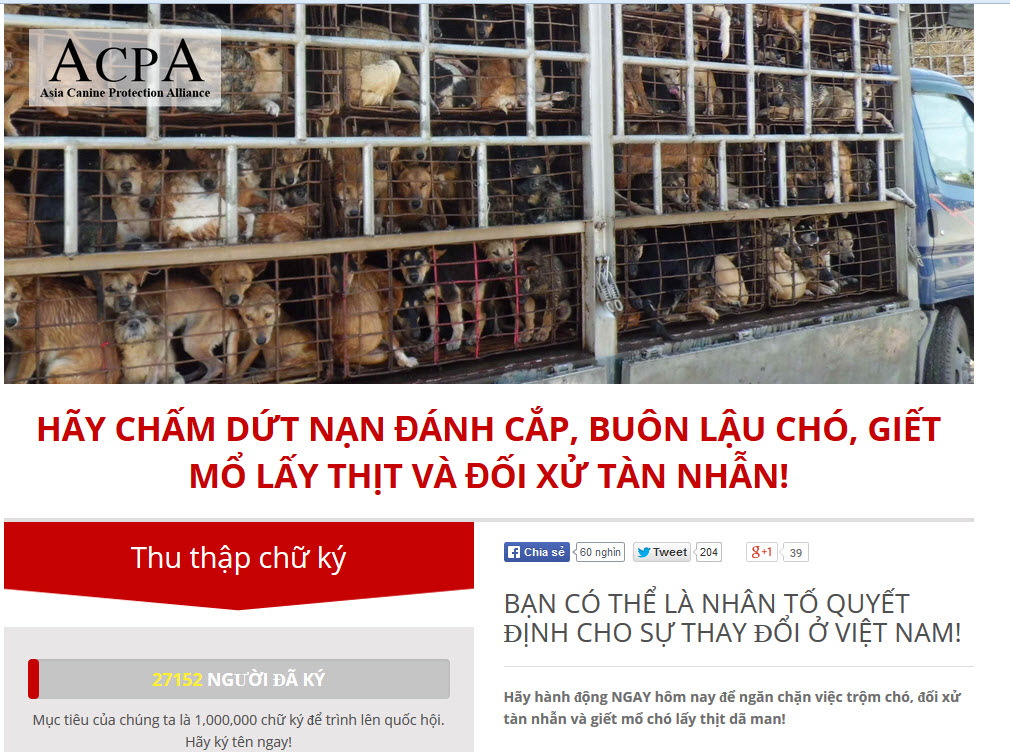 Sao Việt “sốc” nặng với clip giết mổ chó - 1