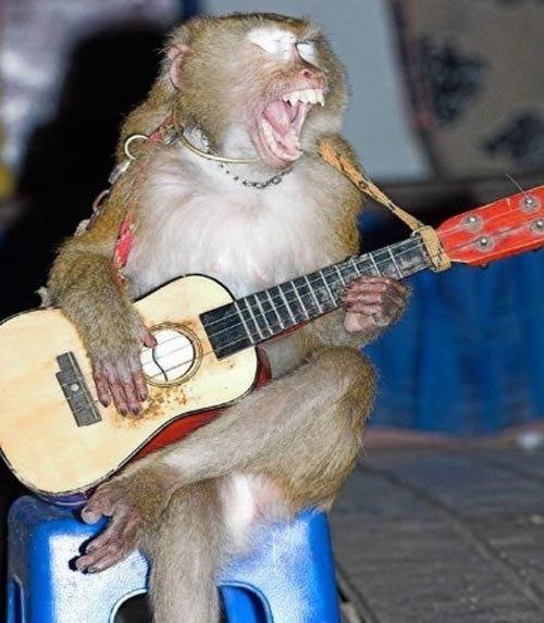 Cùng giải trí với “những tiếng cười giải trí“ - 2