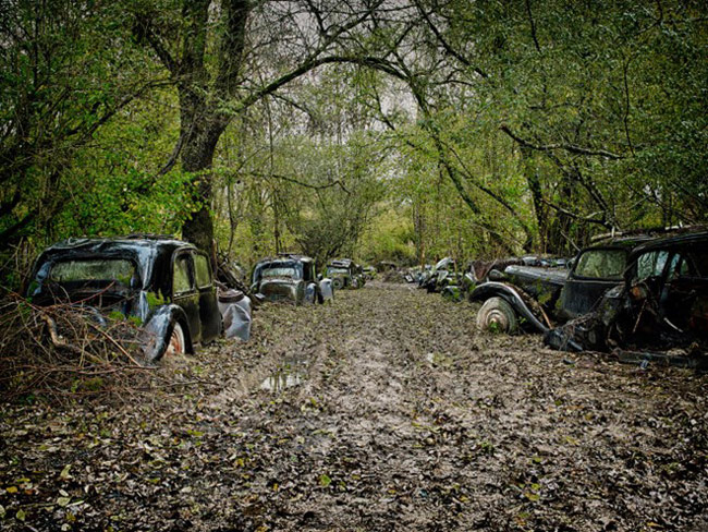 Những chiếc xe ô tô ngập chìm trong bùn lầy ở khu rừng sâu tại Pháp.
