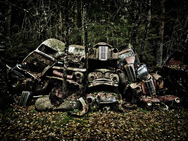 Những ô tô cũ đổ nát, đè lên nhau trong khu rừng sâu bí ẩn.
